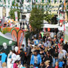 Bilder vom Stadfest 2016