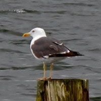 Unser zweiter Tagesausflug führte uns nach Utrecht.