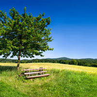 Sommerlicher Gruß Sommer Bild
