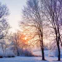 Winterlicher Gruß Winter Bild